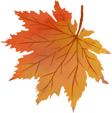 Autumn Leaf Icon